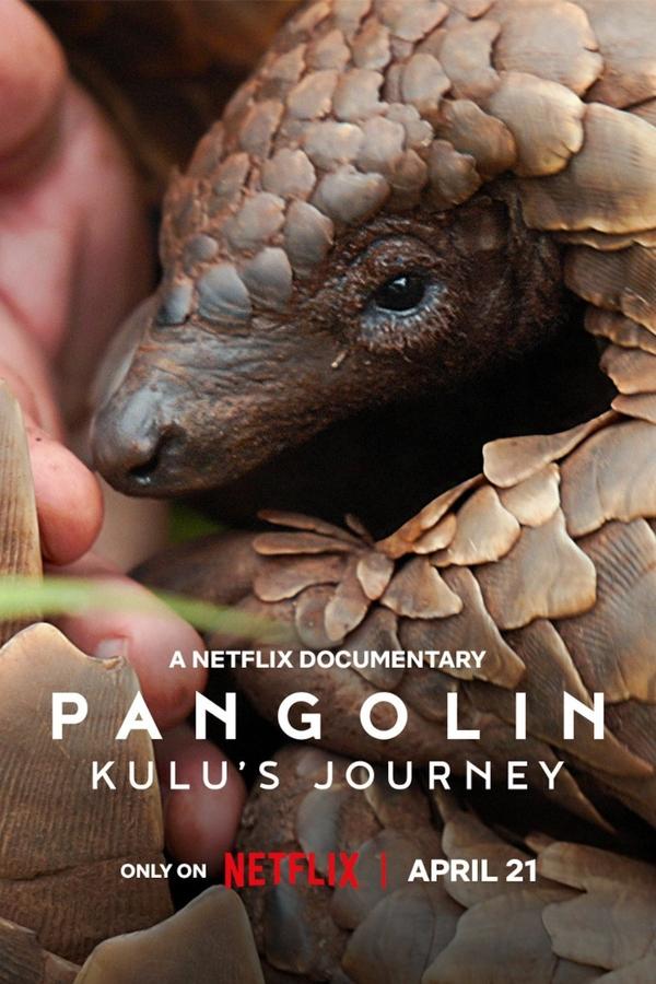 PANGOLIM: A VIAGEM DE KULU (2025)