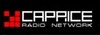 RADIO - INT - ECHOES OF BLUEMARS - VOICES FROM WITHIN - 128 KBIT/S